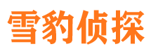 定陶市侦探